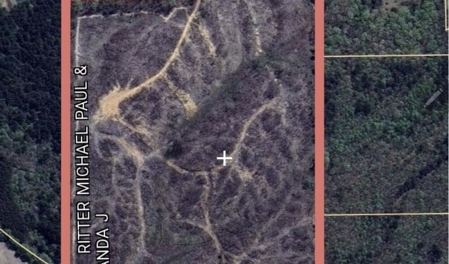85 6+/- Acres County Road 2291, Booneville, MS 38829 - 0 Beds, 0 Bath