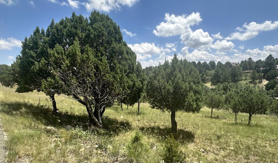 Lot 8 Mira Monte Road, Alto, NM 88312 - 0 Beds, 0 Bath