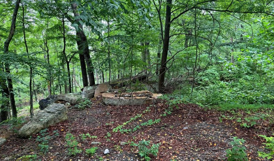 TR D-15 DEER PATH Road, Augusta, WV 26704 - 0 Beds, 0 Bath