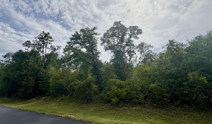 View Drive lot 8, Alford, FL 32420 - 0 Beds, 0 Bath