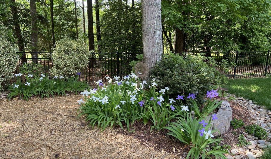 5600 Merion Station Dr, Apex, NC 27539 - 4 Beds, 4 Bath