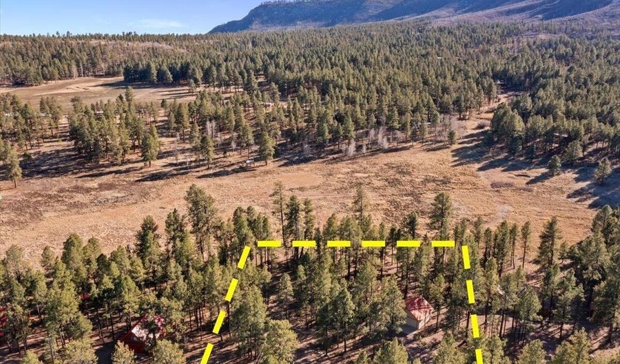 10 County Rd 2271, Alpine, AZ 85920 - 2 Beds, 2 Bath