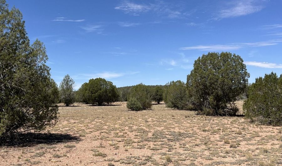 21 Off Of Cooks Trl, Ash Fork, AZ 86320 - 0 Beds, 0 Bath