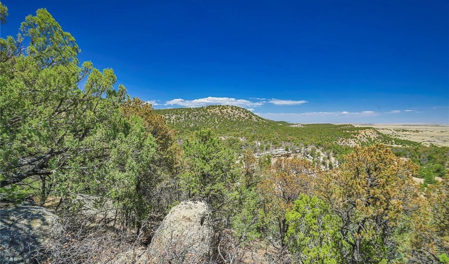 Rikki Rowdy Place, Aguilar, CO 81020 - 0 Beds, 0 Bath