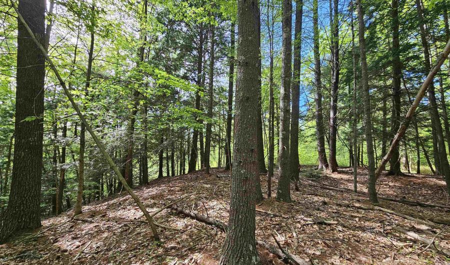 Province Road lot 26, Belmont, NH 03220 - 0 Beds, 0 Bath