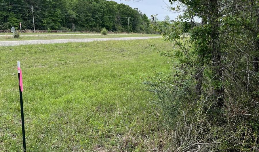 Hwy 49 lot 1, Brooklyn, MS 39425 - 0 Beds, 0 Bath