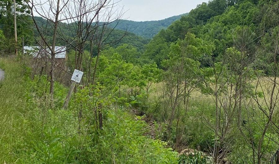 204 Daniels Rd, Bandy, VA 24602 - 0 Beds, 0 Bath