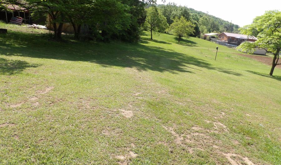 Pine Street, Blaine, TN 37709 - 0 Beds, 0 Bath