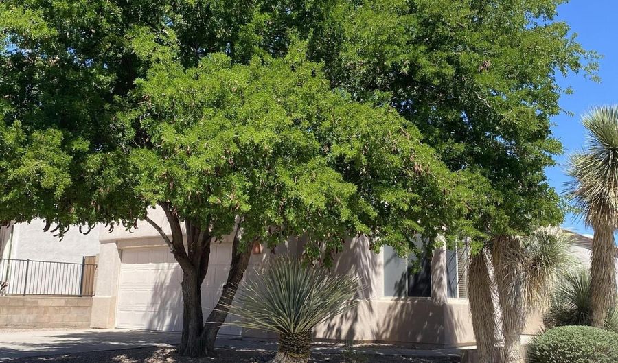 7381 E Placita Luz De La Luna, Tucson, AZ 85715 - 3 Beds, 2 Bath