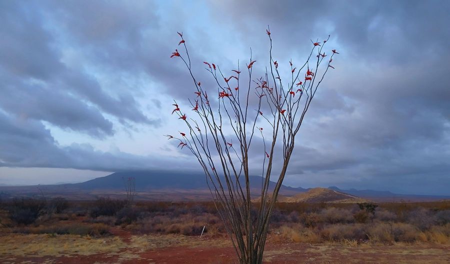 59-004 N W Luna Nueva Rd, Bisbee, AZ 85603 - 0 Beds, 0 Bath