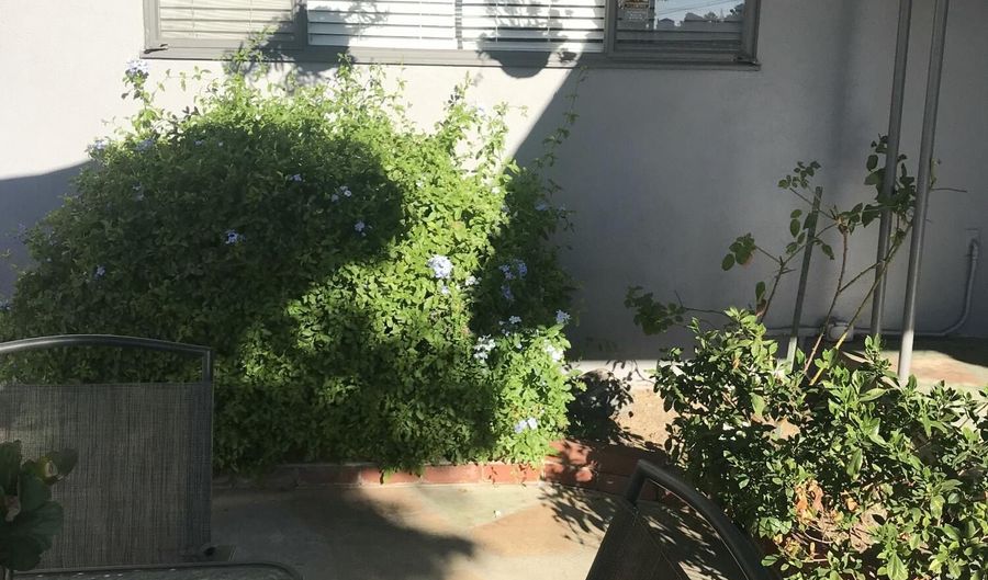 4359 Wawona St, Los Angeles, CA 90065 - 2 Beds, 2 Bath