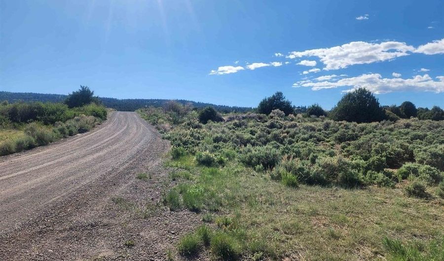 Conejos River Trails lot 11, Antonito, CO 81120 - 0 Beds, 0 Bath