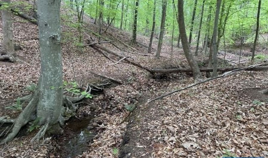 3220 SPOTSWOOD Trl Lot 5, Barboursville, VA 22923 - 0 Beds, 0 Bath