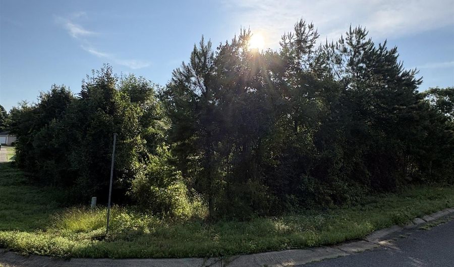 Somersett lot 10, Arkadelphia, AR 71923 - 0 Beds, 0 Bath