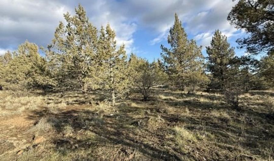 Canvasback, Bonanza, OR 97623 - 0 Beds, 0 Bath