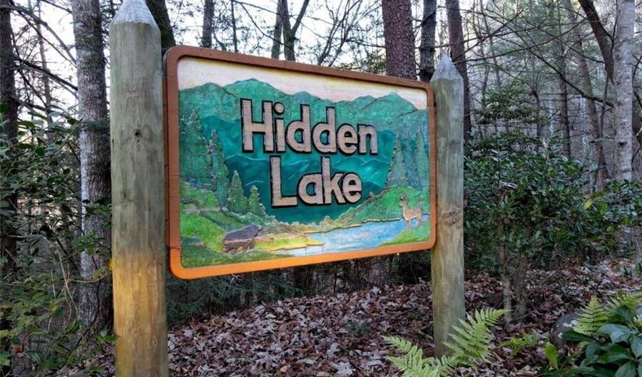 565 Hidden Lake Dr, Cherry Log, GA 30522 - 3 Beds, 4 Bath