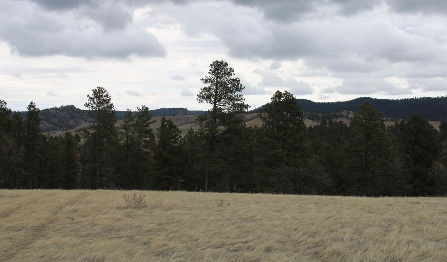 Tract 5 Lone Elk Ranch, Alva, WY 82711 - 0 Beds, 0 Bath