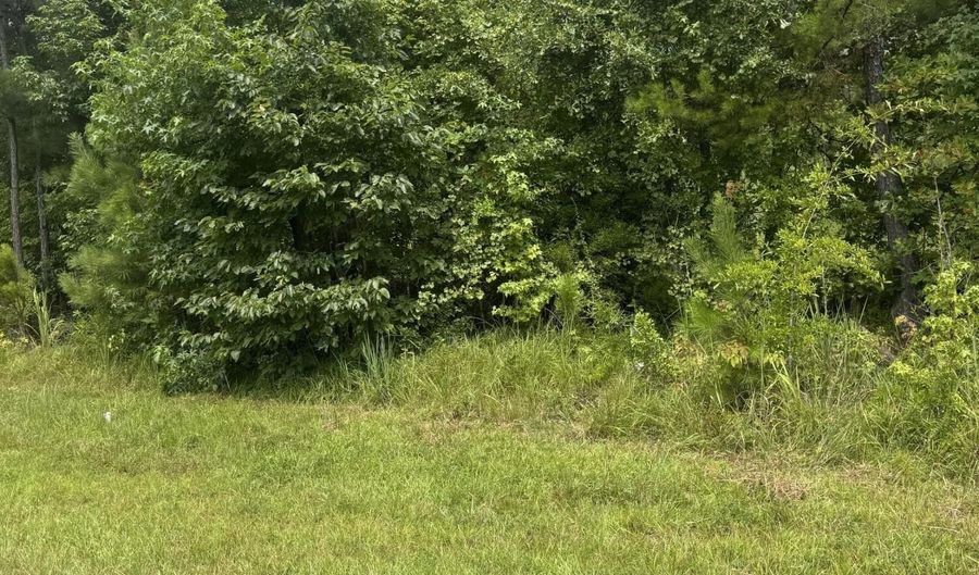 Old Dark Rd, Alexander City, AL 35010 - 0 Beds, 0 Bath