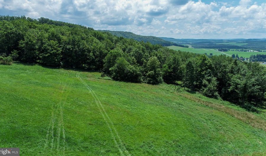 Lot 5 GREENWOOD RIDGE ROAD, Accident, MD 21520 - 0 Beds, 0 Bath