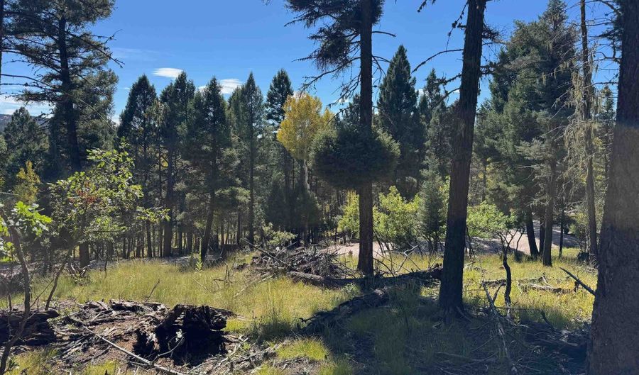 Calle de los Indios lot 101, Angel Fire, NM 87710 - 0 Beds, 0 Bath