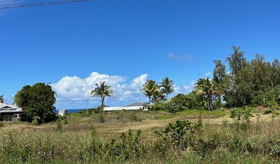 1 ST Ave Lot #: 1502, Keaau, HI 96749 - 0 Beds, 0 Bath