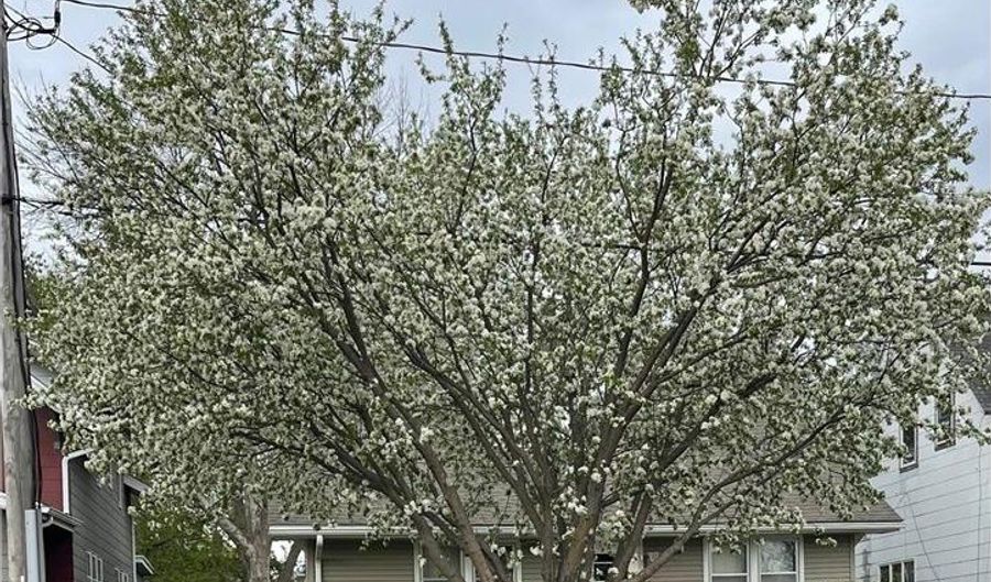 512 9th Ave SW, Austin, MN 55912 - 3 Beds, 2 Bath