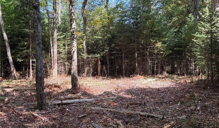 Beaver Trail lot # 1, Alder Creek, NY 13301 - 0 Beds, 0 Bath