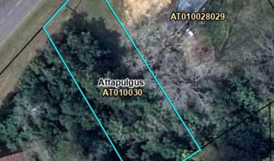 Lot 33 McGriff St, Attapulgus, GA 39815 - 0 Beds, 0 Bath