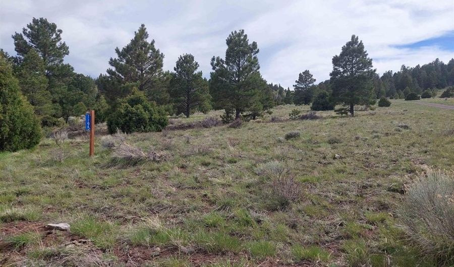 01195 Rito Hondo Rd, Antonito, CO 81120 - 0 Beds, 0 Bath