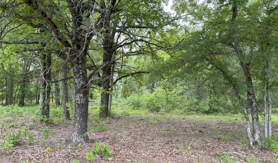 Rains County Road 2610 lot 25, Alba, TX 75410 - 0 Beds, 0 Bath
