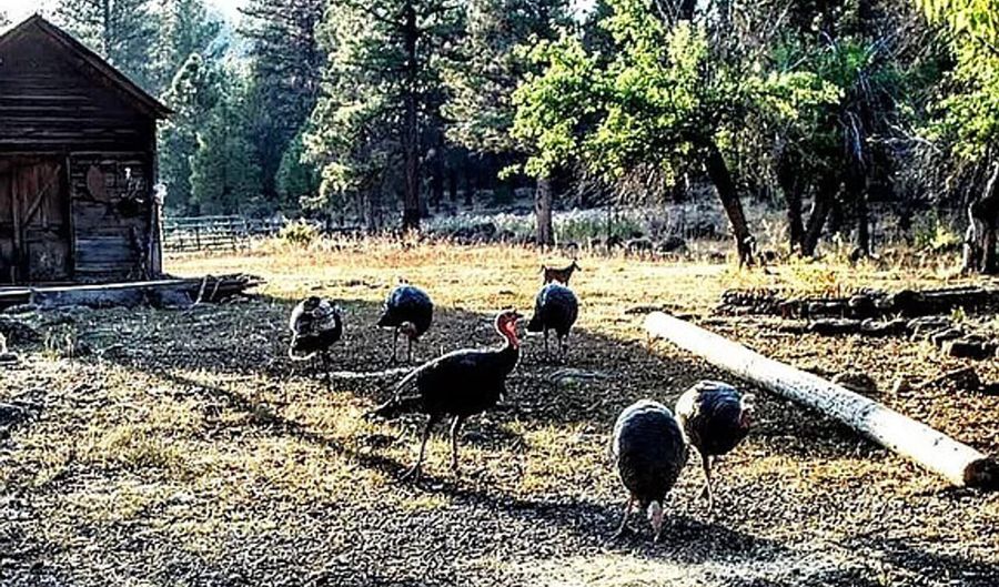 3720 Co. Rd. 118, Alturas, CA 96101 - 2 Beds, 0 Bath
