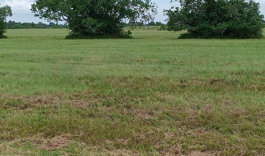 BRAHMAN TRAIL, Angleton, TX 77515 - 0 Beds, 0 Bath