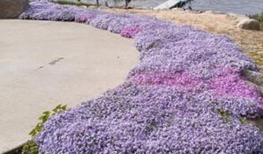 3752 Schermerhorn Lake Dr, Allegan, MI 49010 - 3 Beds, 3 Bath