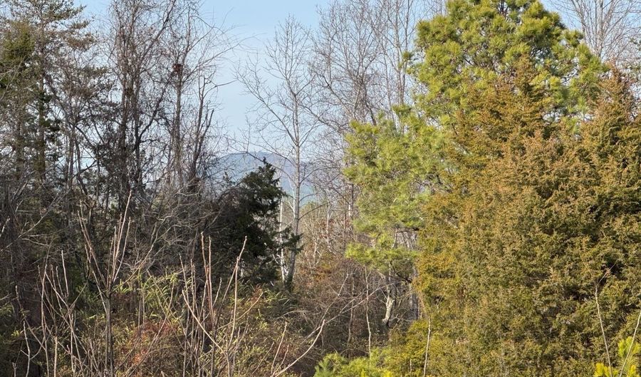 Watt Abbitt Road, Appomattox, VA 24522 - 0 Beds, 0 Bath