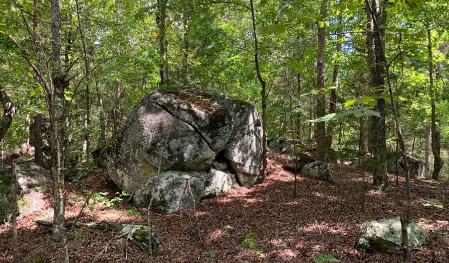 Brookside Drive, Abbeville, SC 29620 - 0 Beds, 0 Bath