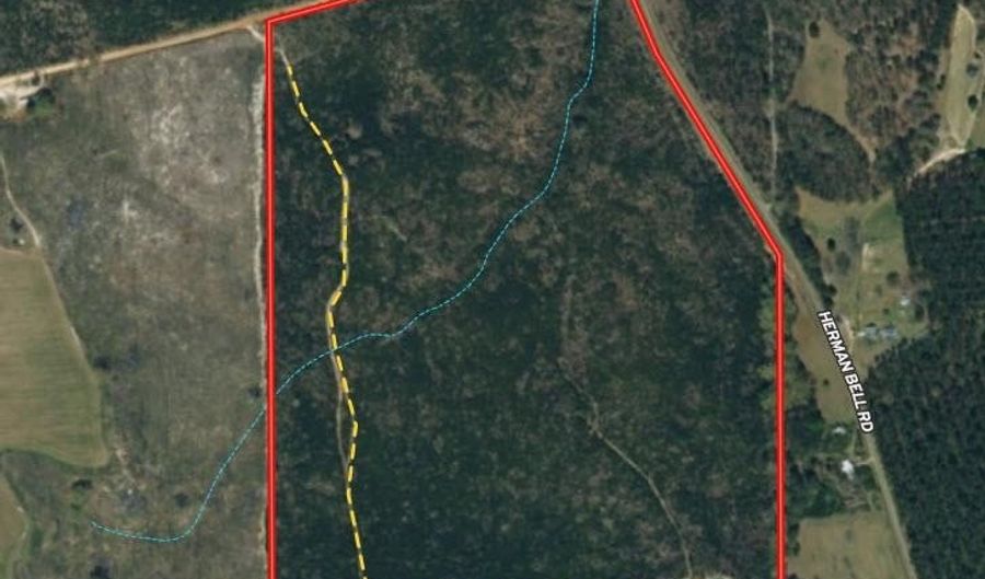 95 Herman Bell Rd, Mauk, GA 31058 - 0 Beds, 0 Bath