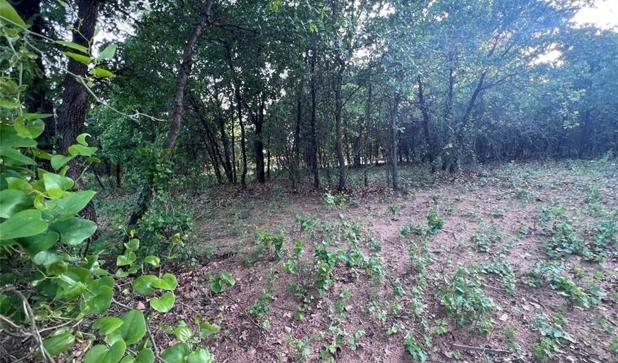 Tbd County Road 335, Anson, TX 79501 - 0 Beds, 0 Bath