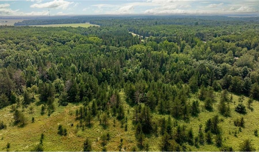 Track B Hwy 87, Backus, MN 56435 - 0 Beds, 0 Bath