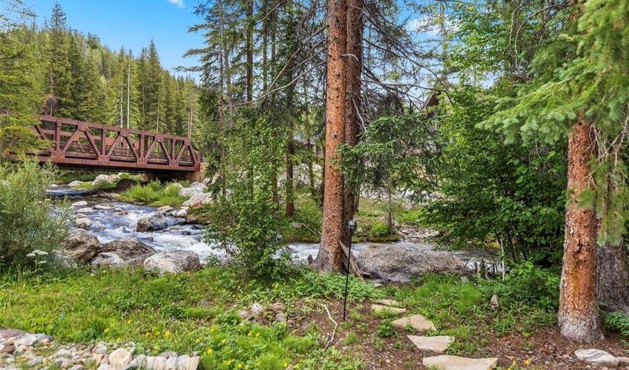 315 RIVER PARK Dr, Breckenridge, CO 80424 - 4 Beds, 5 Bath