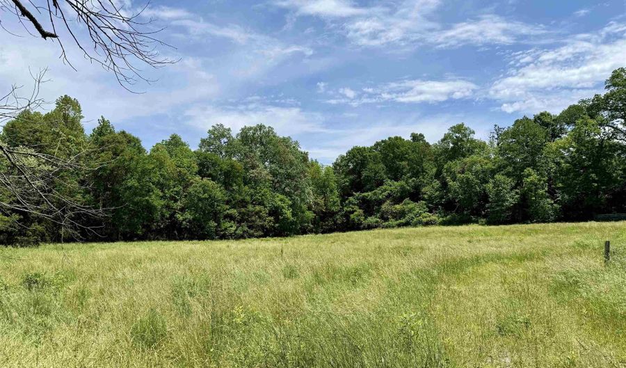 120 Carnes Chapel Rd, Attalla, AL 35954 - 0 Beds, 0 Bath