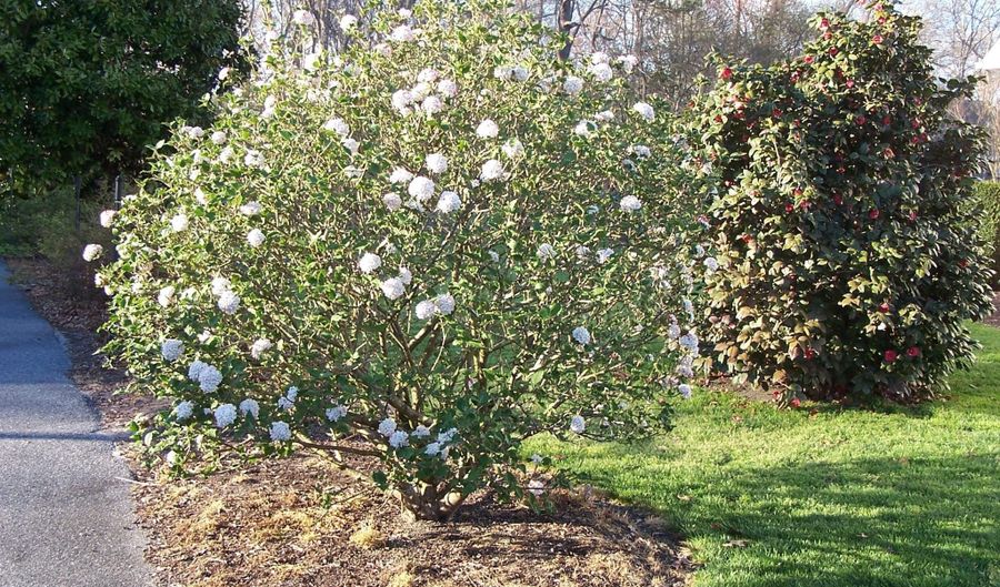 106 CREEKSIDE Dr, Dagsboro, DE 19939 - 3 Beds, 2 Bath