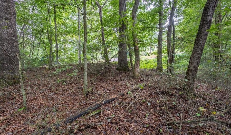 3 Ac Chestnut Flats Rd, Andrews, NC 28901 - 0 Beds, 0 Bath