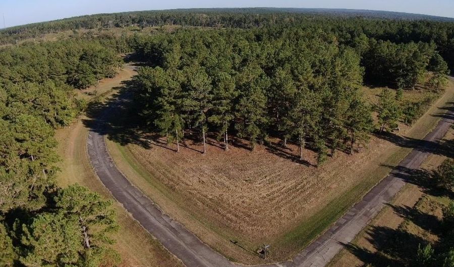 Lot 8 Mountain View Way, Bainbridge, GA 39819 - 0 Beds, 0 Bath