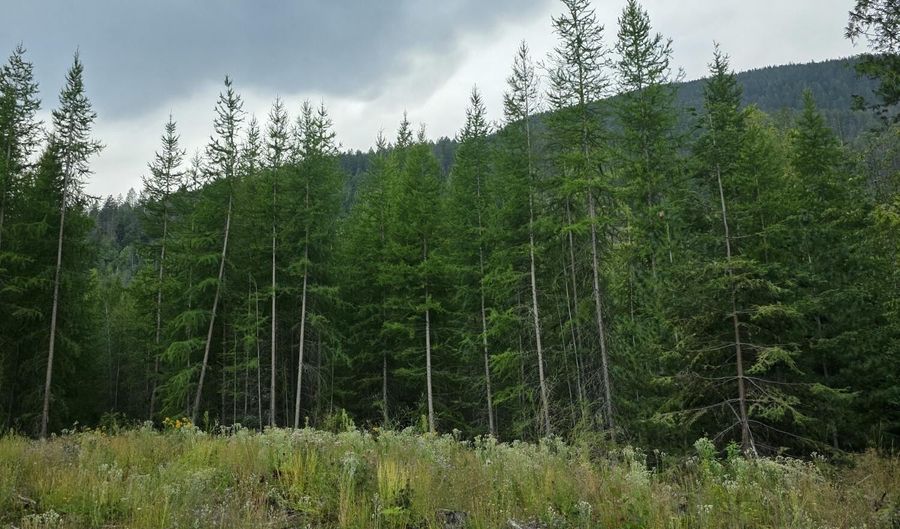 NNA WESTSIDE Rd, Bonners Ferry, ID 83805 - 0 Beds, 0 Bath