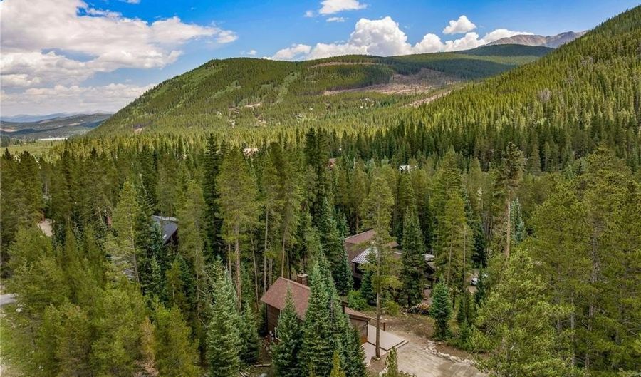 17 Blue Grouse Trl, Blue River, CO 80424 - 2 Beds, 2 Bath