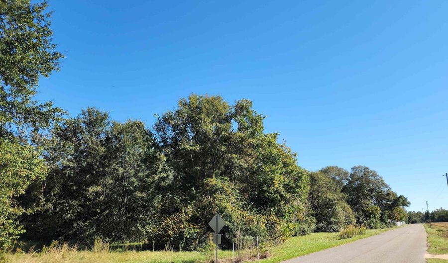 0 Cowpen Creek Rd, Atmore, AL 36502 - 0 Beds, 0 Bath