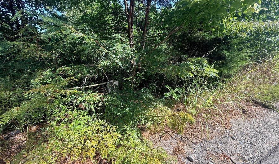 106 W 4th Street Lot W, Aurora, IN 47001 - 0 Beds, 0 Bath