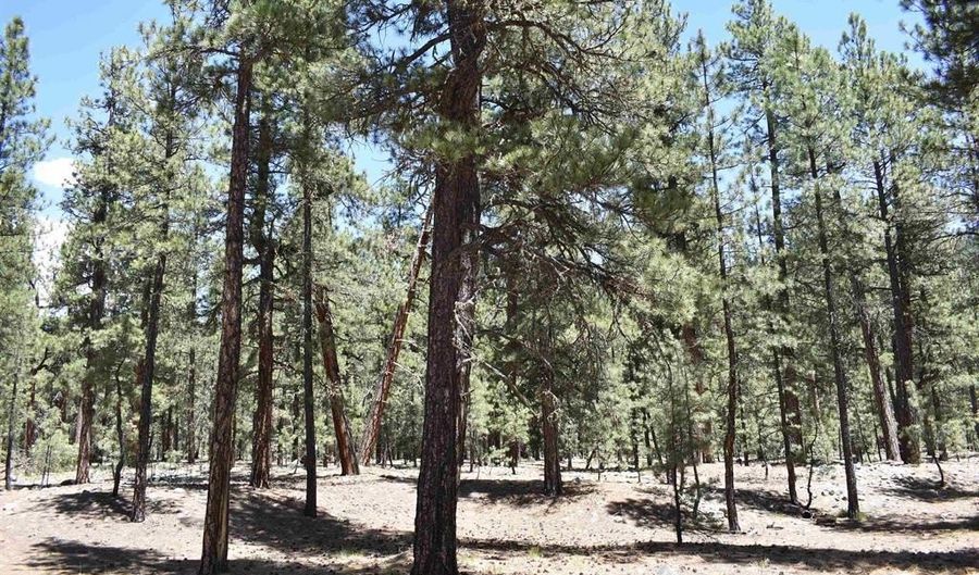 80 Ranch Rd, Bayfield, CO 81122 - 0 Beds, 0 Bath