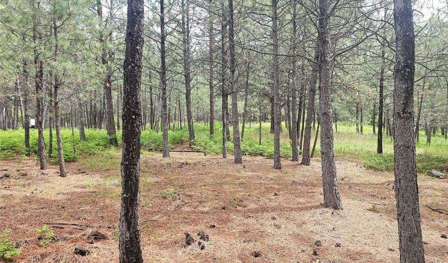 23355 Sunbilla Dr, Arlee, MT 59821 - 0 Beds, 0 Bath
