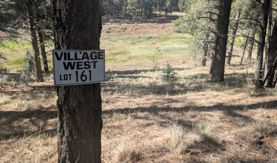 Valle Grande Trail, Angel Fire, NM 87710 - 0 Beds, 0 Bath